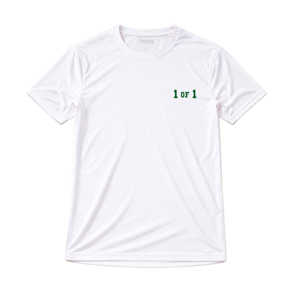 1 OF 1 - Dri-Fit Performance Tee