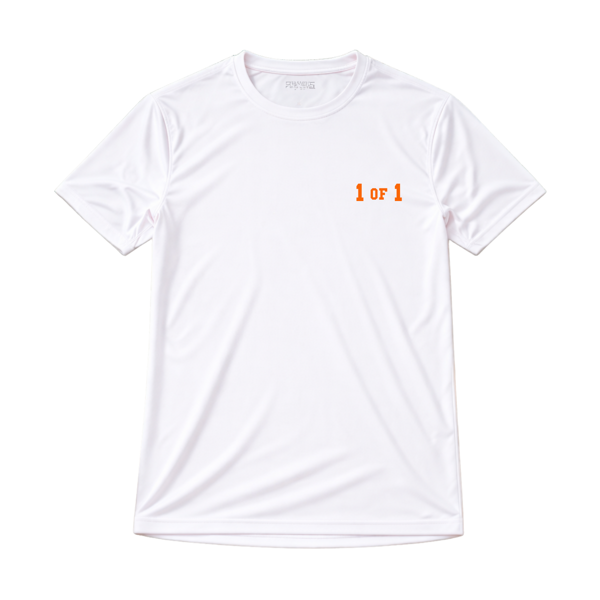 1 OF 1 - Dri-Fit Performance Tee